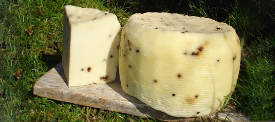 Pecorino al pepe nero