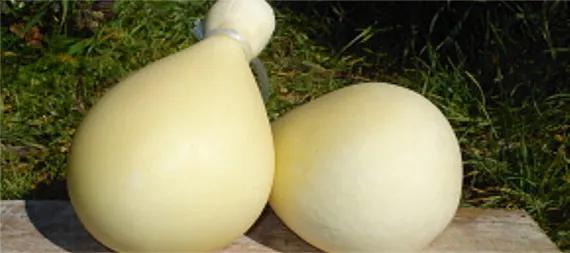 Scamorza delle madonie