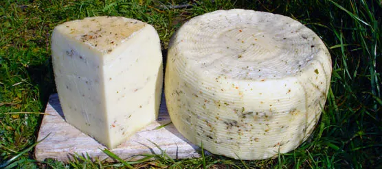 Pecorino aromatizzato