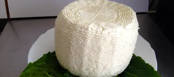 Pecorino primosale